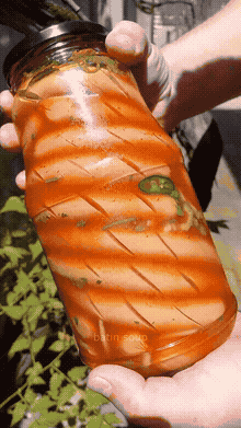 Маринованные сосиски