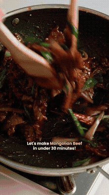 Легкая монгольская говядина